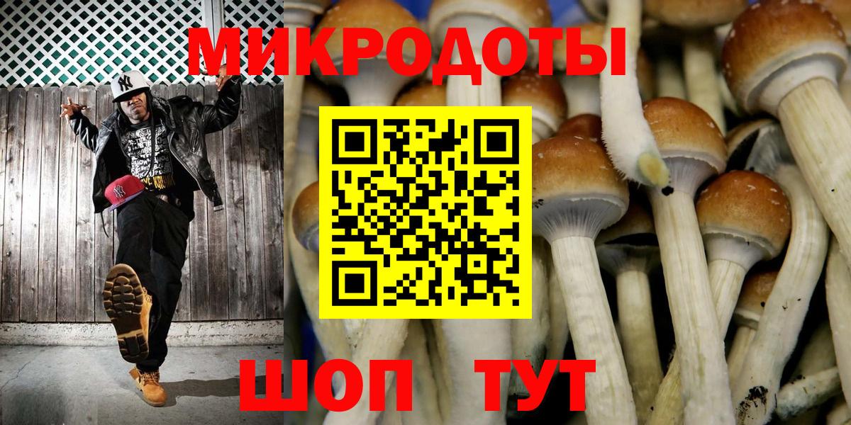 Галлюциногенные грибы Cubensis  Галлюциногенные грибы мицелий  Вход с VPN  Волгоград 