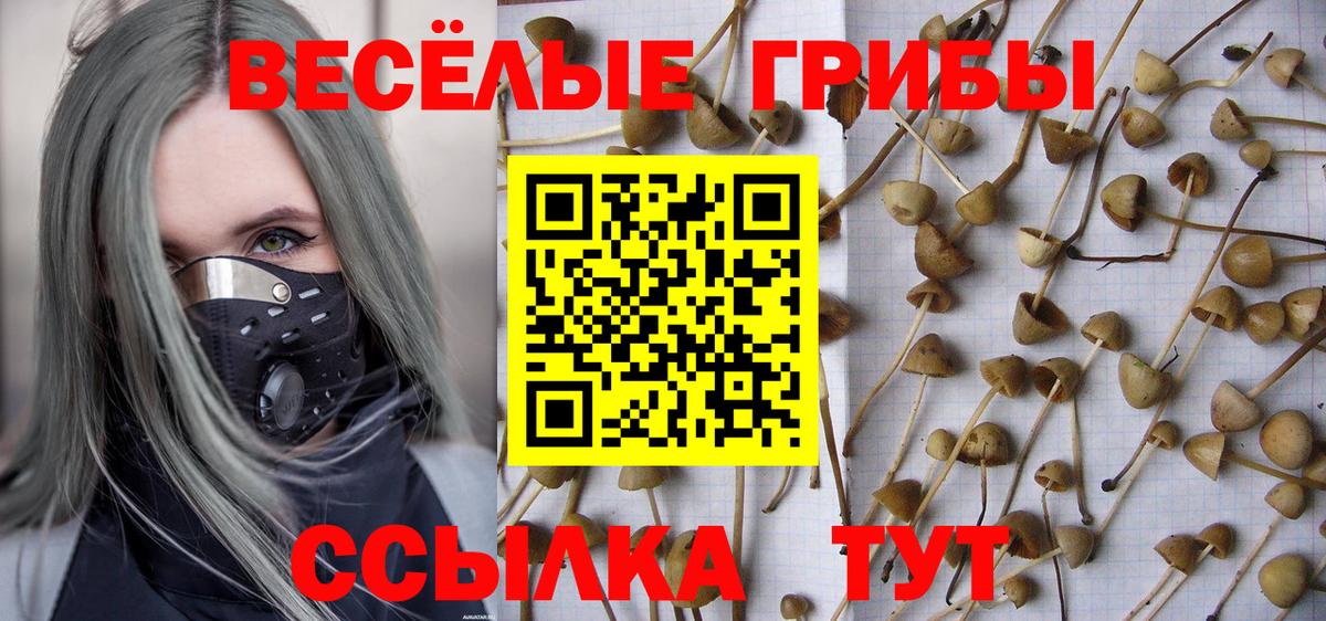 Псилоцибиновые грибы GOLDEN TEACHER Волгоград