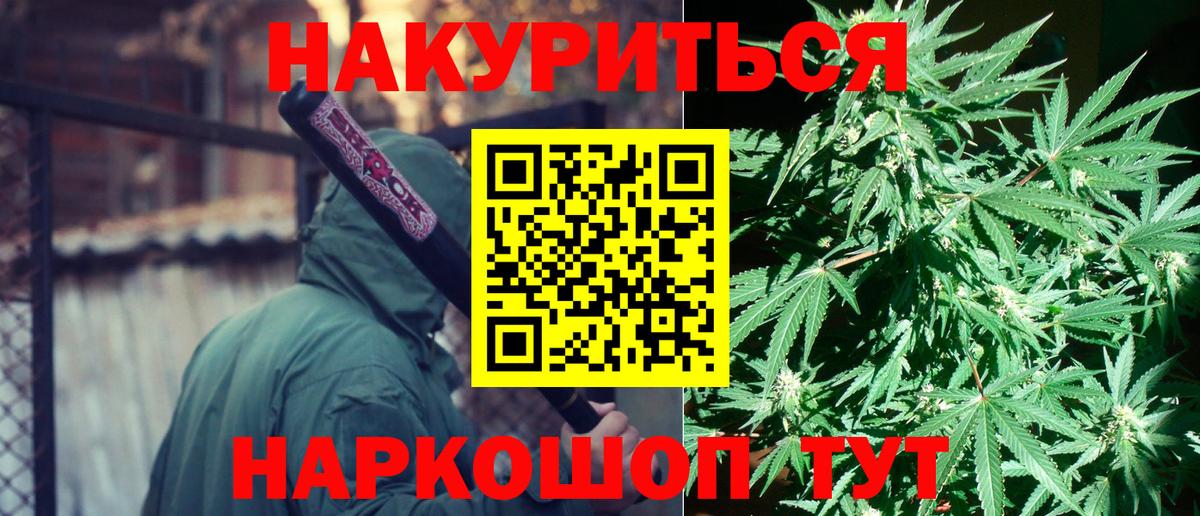 Волгоград  Бошки марихуана семена  Вход с VPN  Марихуана сатива 